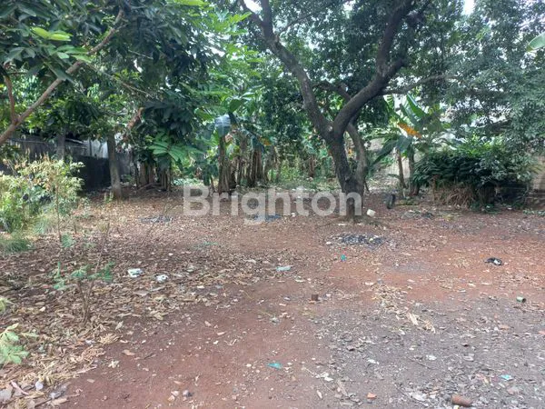 image TANAH DIJUAL (2)