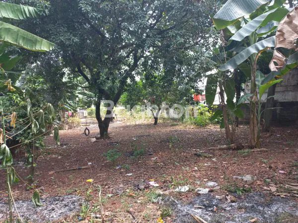 image TANAH DIJUAL (4)