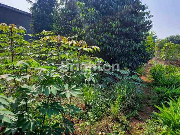 image DIJUAL TANAH LUAS 4.338 M² – INVESTASI EMAS KP. BUNUT TAMANSARI, SETU – JAWA BARAT  (2)