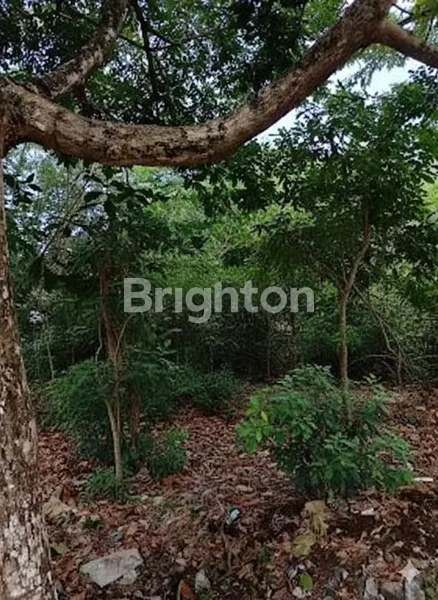 DUA UNIT KAVLING STRATEGIS SIAP BANGUN DI BUKIT INDAH SUKAJADI BATAM