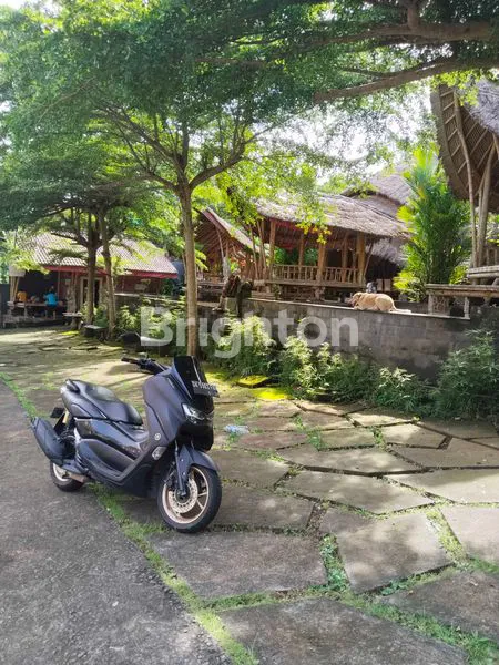 image RUMAH KOMERSIL PINGGIR JALAN  (3)