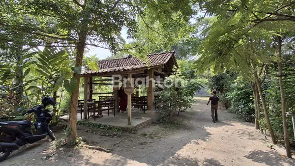 image RUMAH & BANGUNAN USAHA DI BOYOLALI, COCOK UNTUK RUMAH MAKAN (2)