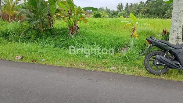 image DIJUAL TANAH DI KRAMBITAN 20,8 RP1248 M (1)