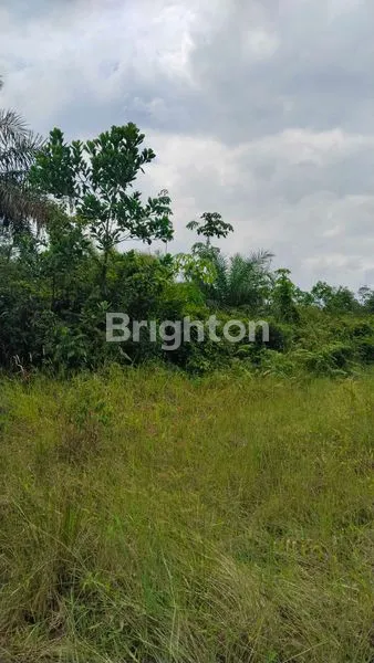 image TANAH SELUAS 4 HEKTAR DI BELAKANG PERUMAHAN GADANG VILLAGE TALANG KEPUH PALEMBANG SUMSEL INDONESIA (3)