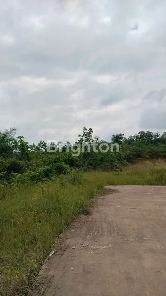 image TANAH SELUAS 4 HEKTAR DI BELAKANG PERUMAHAN GADANG VILLAGE TALANG KEPUH PALEMBANG SUMSEL INDONESIA (5)