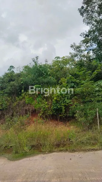 image TANAH SELUAS 4 HEKTAR DI BELAKANG PERUMAHAN GADANG VILLAGE TALANG KEPUH PALEMBANG SUMSEL INDONESIA (7)