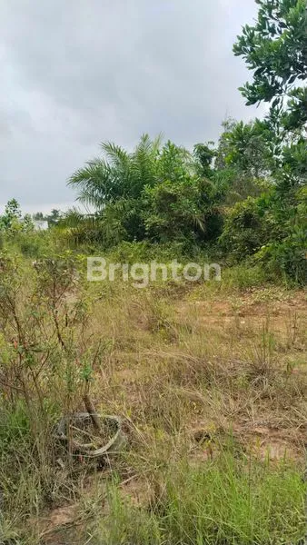 image TANAH SELUAS 4 HEKTAR DI BELAKANG PERUMAHAN GADANG VILLAGE TALANG KEPUH PALEMBANG SUMSEL INDONESIA (4)