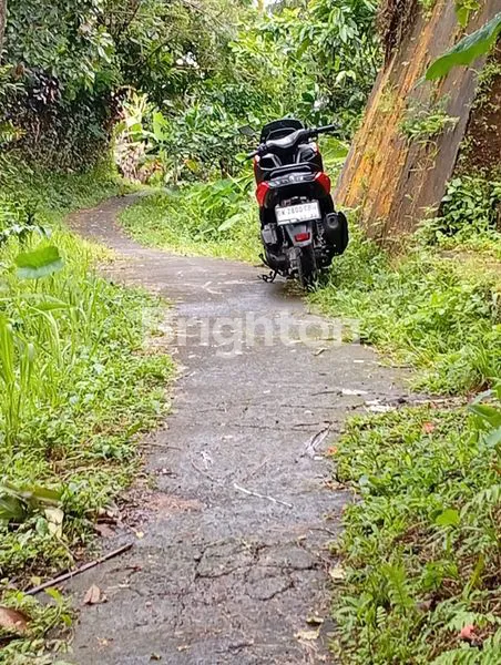 image DIJUAL TANAH DI PUPUAN 88 ARE 2,2 M (1)