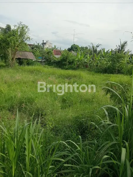 image DIJUAL TANAH DI GIANYAR 18 ARE 3060000000 (4)