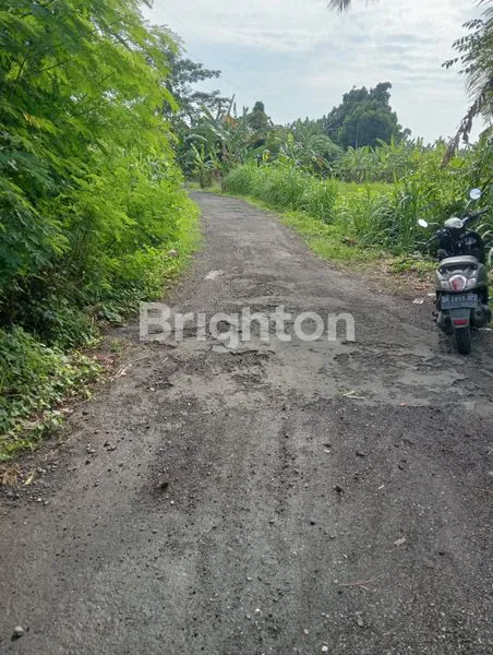 image DIJUAL TANAH DI GIANYAR 18 ARE 3060000000 (2)