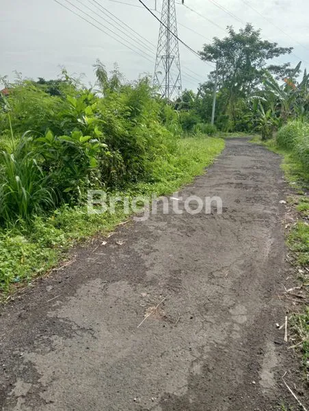 image DIJUAL TANAH DI GIANYAR 18 ARE 3060000000 (5)
