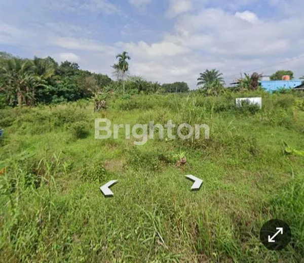 image TANAH SELUAS 2.400 TALANG BULUH BANYUASIN SUMSEL INDONESIA (3)