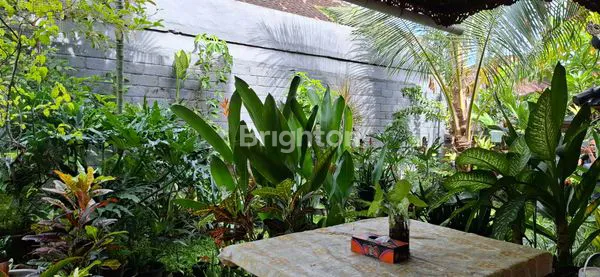 image RUMAH SEMI VILLA 10 MENIT RS BALI MANDARA (5)