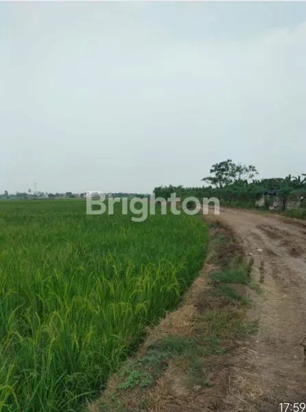 image DIJUAL TANAH DI GINTUNG, SEPATAN- TANGERANG (2)