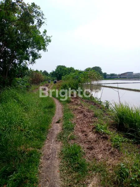 image DIJUAL TANAH DI GINTUNG, SEPATAN- TANGERANG (1)