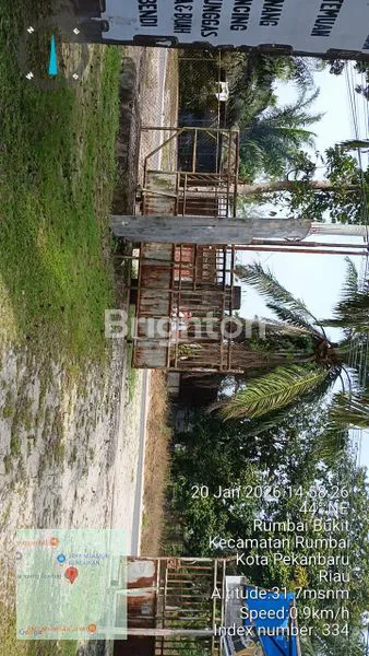 image DIJUAL TANAH 50.400METER,DI PALAS,KAMPUNG COBOY (2)