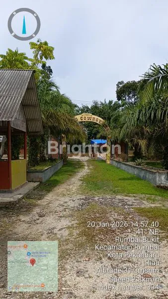 image DIJUAL TANAH 50.400METER,DI PALAS,KAMPUNG COBOY (3)