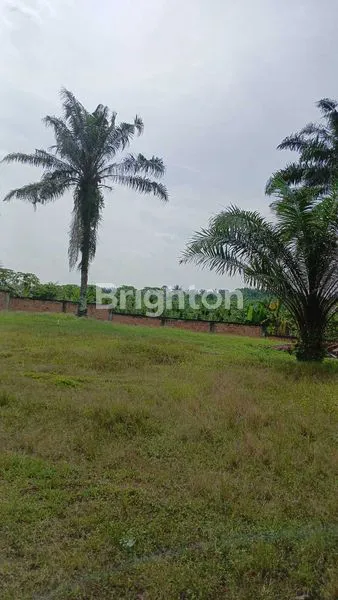 image DIJUAL TANAH 50.400METER,DI PALAS,KAMPUNG COBOY (1)