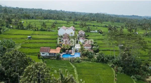 image VILA DI TENGAH HAMPARAN SAWAH DI TEGALLALANG, UBUD, BALI (1)