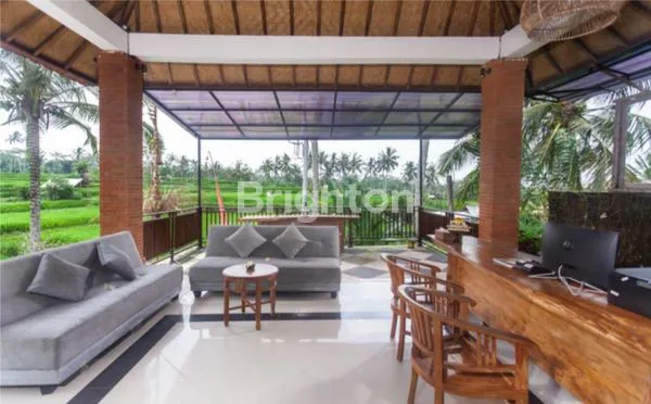 image VILA DI TENGAH HAMPARAN SAWAH DI TEGALLALANG, UBUD, BALI (3)