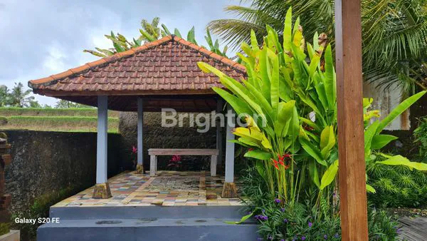 image VILA DI TENGAH HAMPARAN SAWAH DI TEGALLALANG, UBUD, BALI (8)