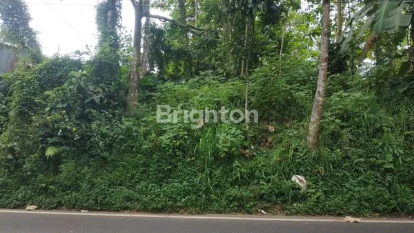 image TANAH LUAS 2258M² DI KH MALIK, MALANG, SHM (1)