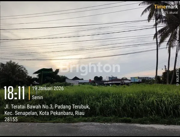 image TANAH LOKASI SANGAT STRATEGIS JALAN TERATAI BAWAH DEKAT JALAN RIAU PEKANBARU (3)