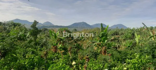 image DIJUAL TANAH PERKEBUNAN 9 HEKTARE – VIEW PEGUNUNGAN & DANAU BUYAN (3)