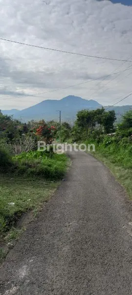 image DIJUAL TANAH PERKEBUNAN 9 HEKTARE – VIEW PEGUNUNGAN & DANAU BUYAN (1)
