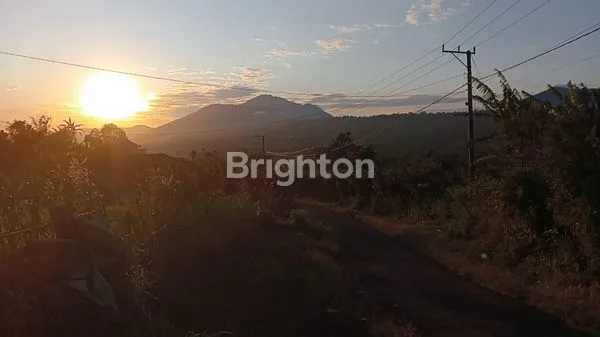 image DIJUAL TANAH PERKEBUNAN 9 HEKTARE – VIEW PEGUNUNGAN & DANAU BUYAN (4)