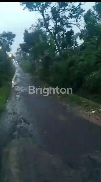 image RUMAH HITUNG TANAH 1.006 M² DI DESA KLAMPOK, SINGOSARI – COCOK BANGUN RUMAH BARU (2)