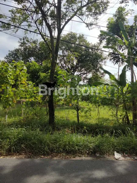 TANAH STRATEGIS 4.800M² DI BINJAI, DEKAT FASILITAS PUBLIK