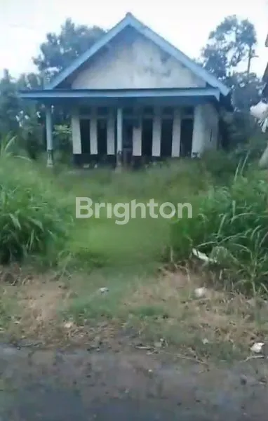 image RUMAH HITUNG TANAH 1.006 M² DI DESA KLAMPOK, SINGOSARI – COCOK BANGUN RUMAH BARU (1)