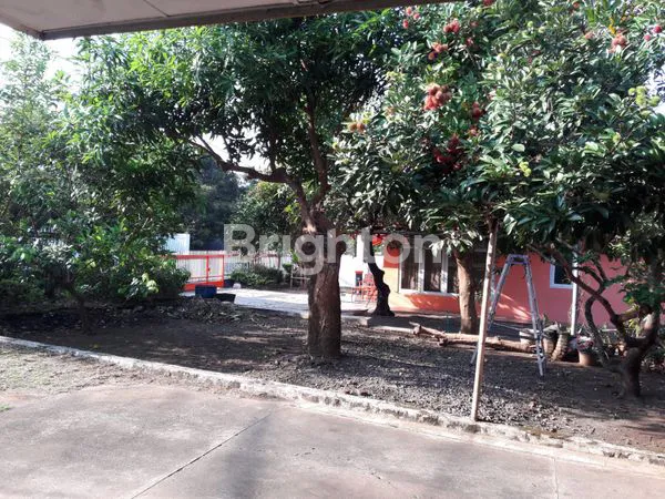 image RUMAH KARANGREJO SEMARANG (2)