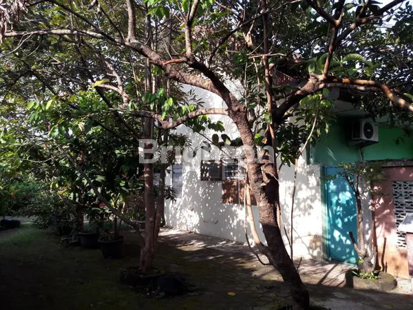 image RUMAH KARANGREJO SEMARANG (4)