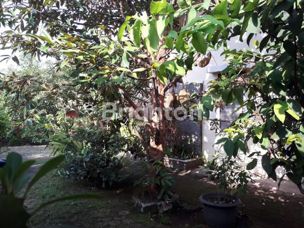 image RUMAH KARANGREJO SEMARANG (3)