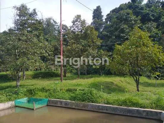 image KEBUN, PETERNAKAN, KOLAM DIATAS TANAH LUAS (2)