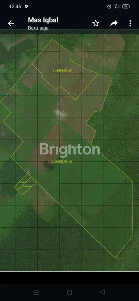 image DI JUAL KEBUN SAWIT  (5)