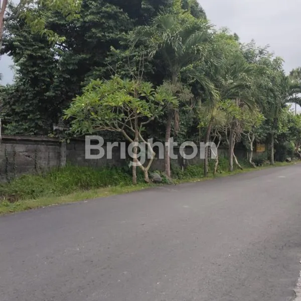 image TANAH JALAN UTAMA DI RAYA UMA BULUH, CANGGU - BALI (2)