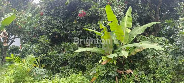 image DIJUAL TANAH DI GUNUNG PATI LUAS DAN BESAR (2)