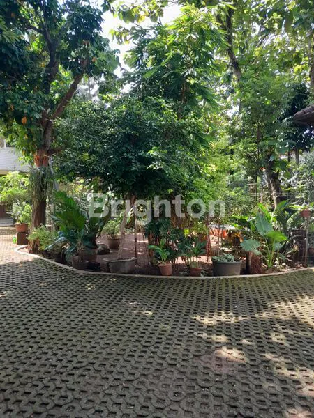 image INVESTASI TANAH 1.113M² SHM, CIBUBUR JUAL RUMAH JL JAMBORE CIBUBUR - BOGOR (2)