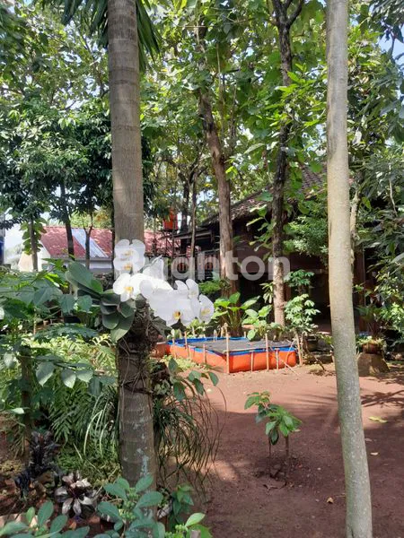 image INVESTASI TANAH 1.113M² SHM, CIBUBUR JUAL RUMAH JL JAMBORE CIBUBUR - BOGOR (8)