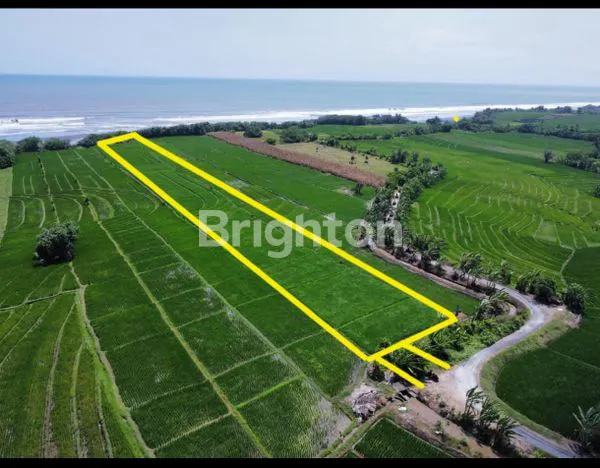 image TANAH BEACHFRONT DI TIBUBIU, KERAMBITAN TABANAN (1)