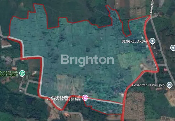 image TANAH DI KEMASANTANI GONDANG MOJOKERTO (1)