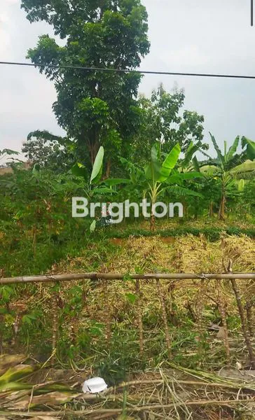 image TANAH STRATEGIS 1500M² DI CIOMAS BOGOR, VIEW GUNUNG (2)