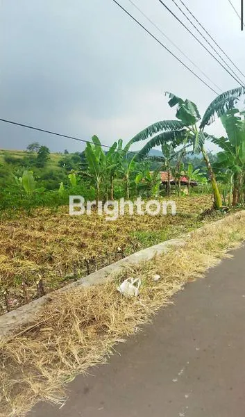 image TANAH STRATEGIS 1500M² DI CIOMAS BOGOR, VIEW GUNUNG (1)