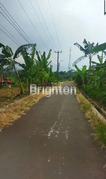 image TANAH STRATEGIS 1500M² DI CIOMAS BOGOR, VIEW GUNUNG (3)