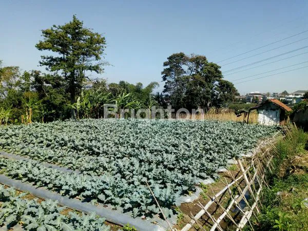 image TANAH LUAS 6.539 M² DI SETIABUDI, DEKAT UPI & PVJ (1)