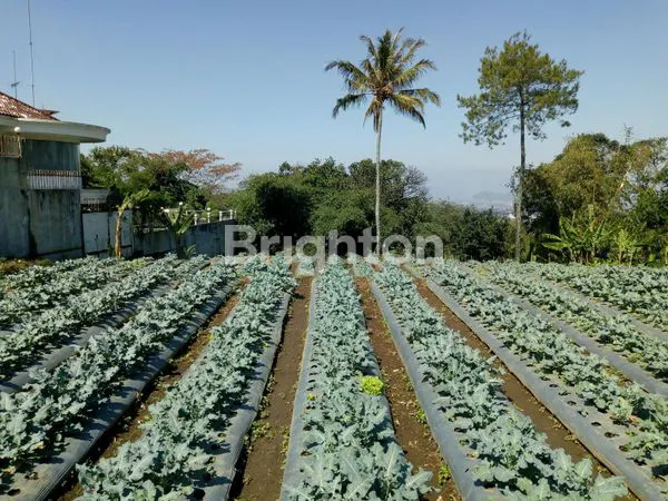 image TANAH LUAS 6.539 M² DI SETIABUDI, DEKAT UPI & PVJ (2)