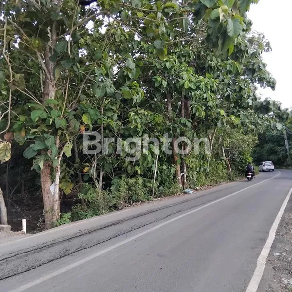 image TANAH MURAH JALAN UTAMA PANTAI BALANGAN PECATU, ULUWATU - BALI (2)
